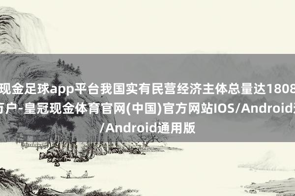 现金足球app平台我国实有民营经济主体总量达18086.48万户-皇冠现金体育官网(中国)官方网站IOS/Android通用版