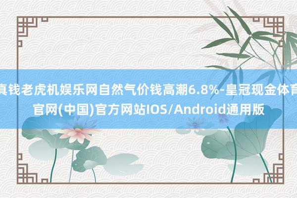 真钱老虎机娱乐网自然气价钱高潮6.8%-皇冠现金体育官网(中国)官方网站IOS/Android通用版